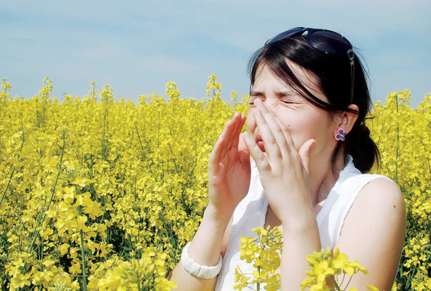 Pikniğe Gidecekler; Alerji için Şimdiden Tedbir Alın