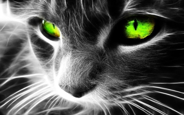 11-06-2016 10:06:51
