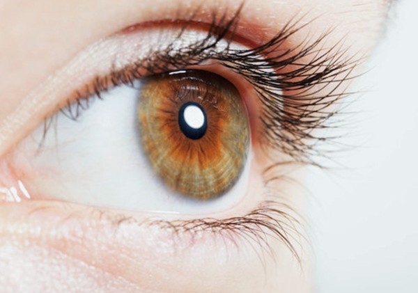 Schwind-Auge