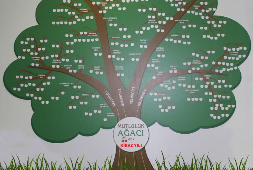 Kirazlar çiçek açıyor; ekip motive oluyor!