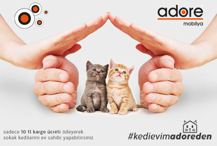 Atıl malzemeler kedi evi oluyor
