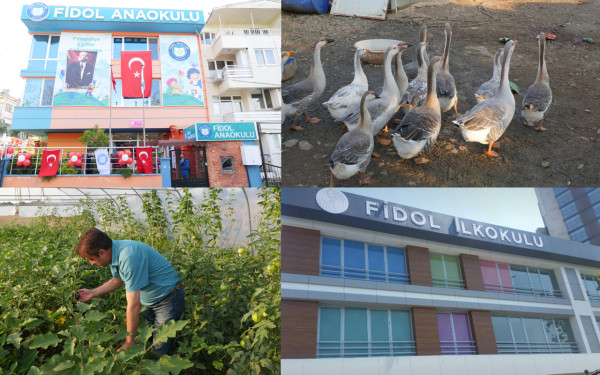 Fidol Okulları