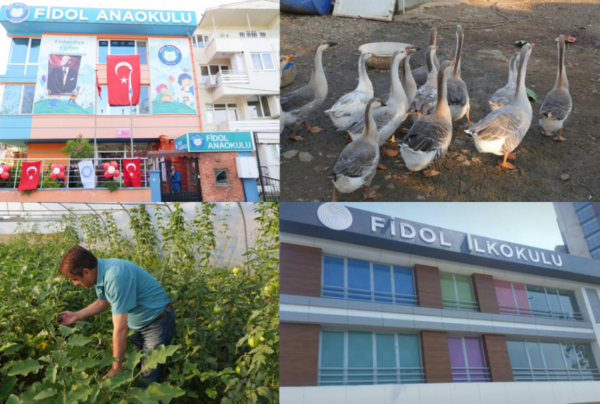 Finlandiya eğitim sistemi Türkiye’de