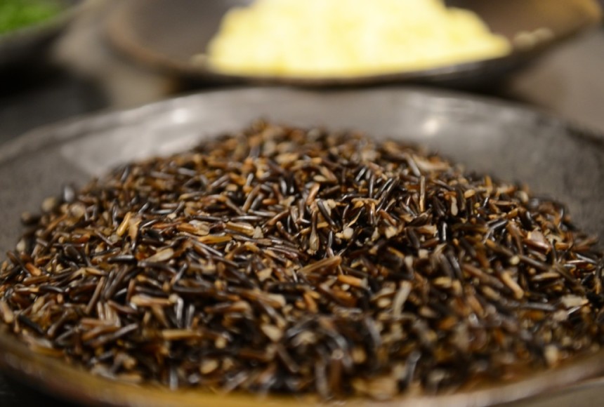 Protein deposu yabani pirince ilgi artıyor