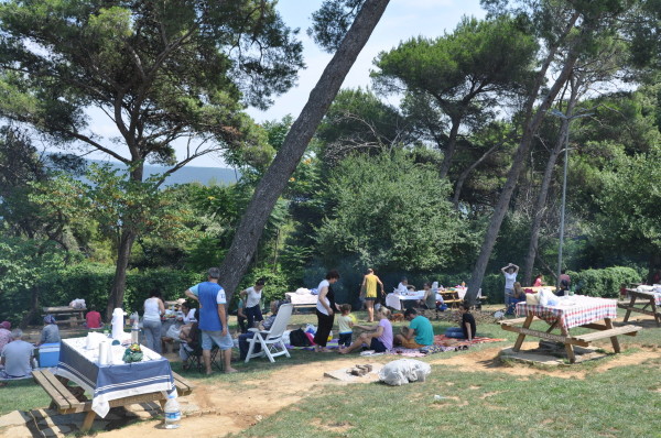 Çamlık Parkı