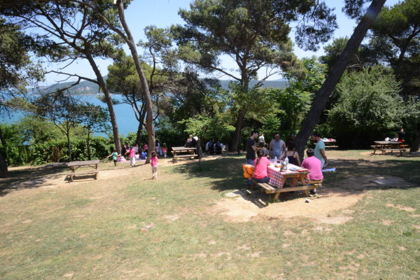 Çamlık Parkı
