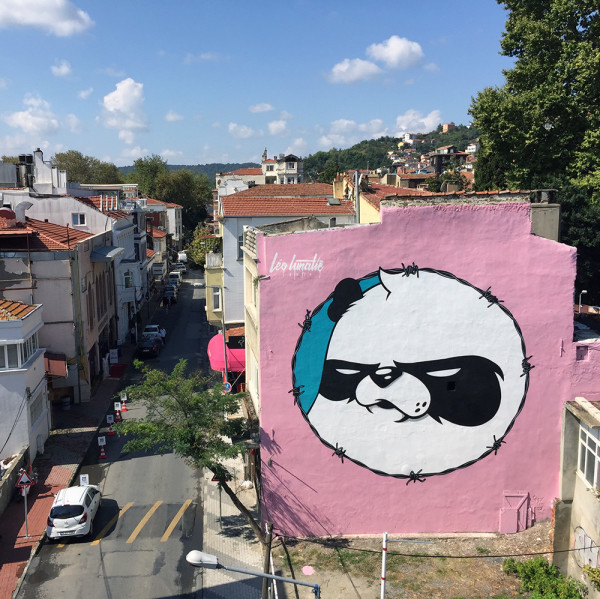 YENİ HALİ 