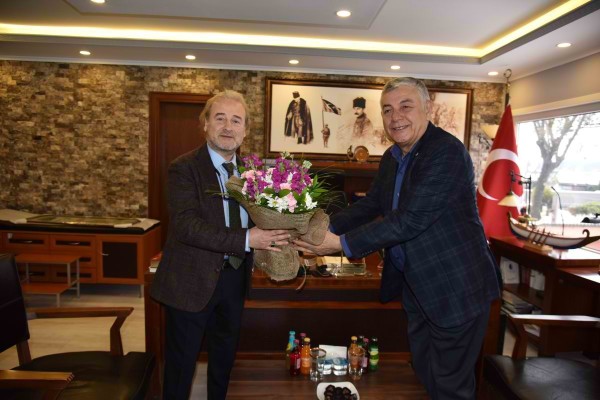 başhekim