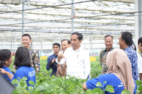 Endonezya Başbakanı Joko Widodo