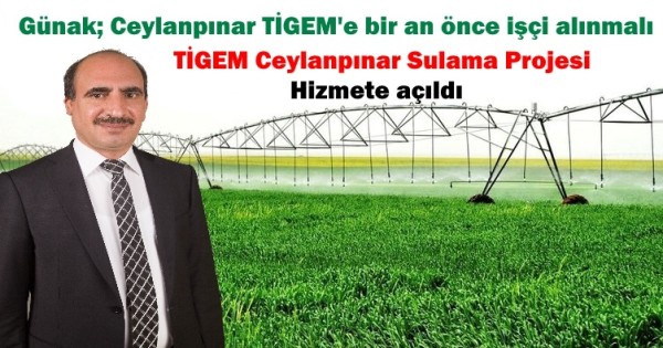 mehmet günak