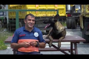 SARIYER’İN ARAMA KURTARMA KÖPEĞİ ŞİLAN AFETLERE HAZIRLANIYOR