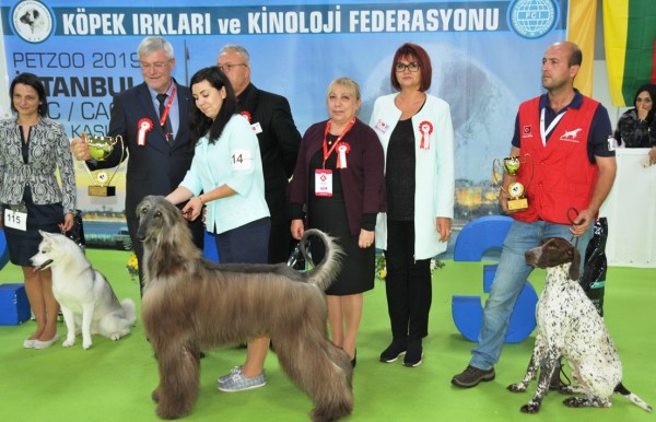 Petzoo Eurasia 