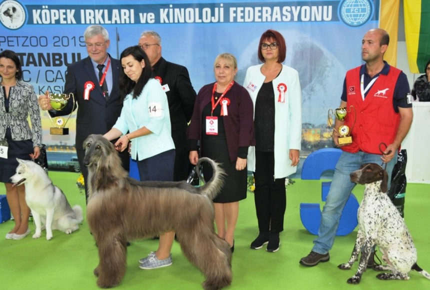 Evcil hayvan ürünleri, milyar dolarlık bir sektör