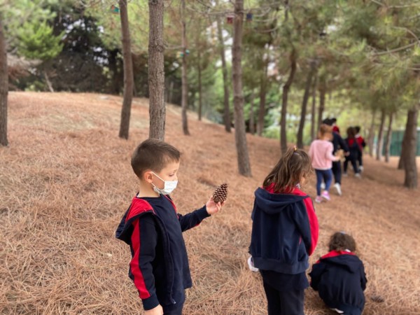 Anaokul doğa