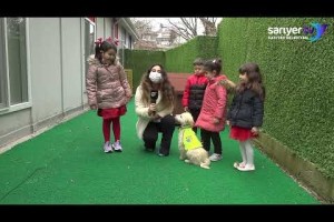 FOKS KÖPEK