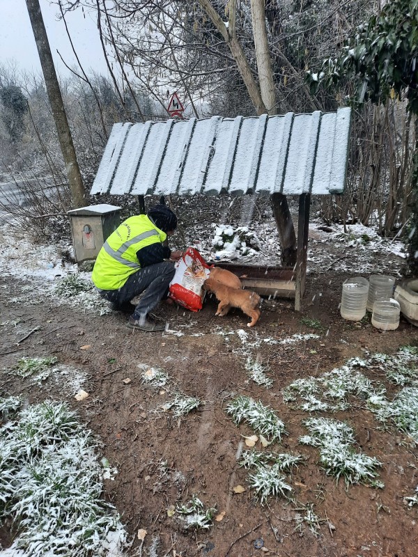 hayvan besleme