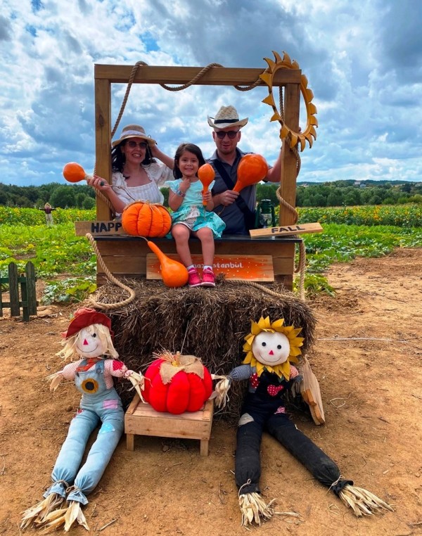 Corn Maze Bahçe 4