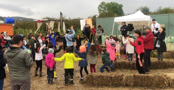 Corn Maze Bahçe 6