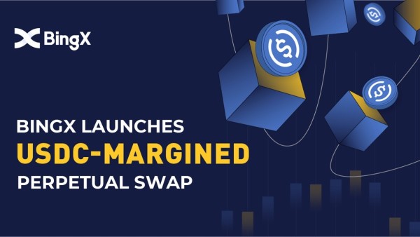 Bingx - USDC Margined Perpetual Swap 