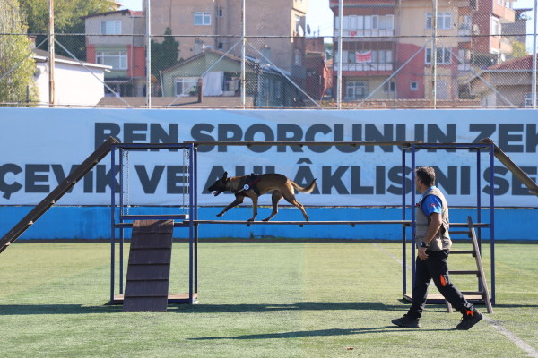 29 EKİM