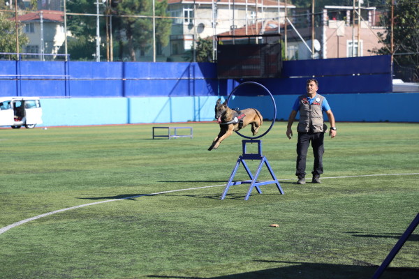 29 EKİM