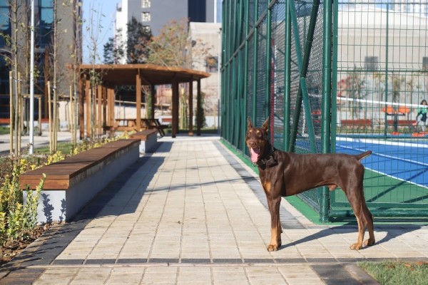 KARTAL’DA BİR SEÇİM VAADİ DAHA GERÇEKLEŞTİ