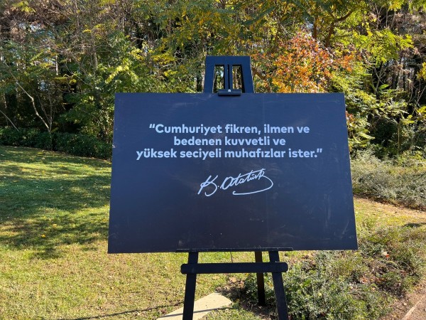 10 kasım