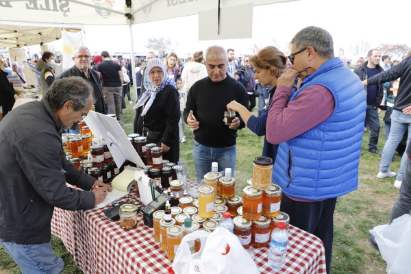 Palamut Festivali