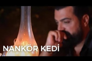 Nankör Kedi - Cihan Yıldız