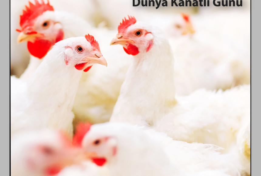10 Mayıs Dünya Kanatlı Günü