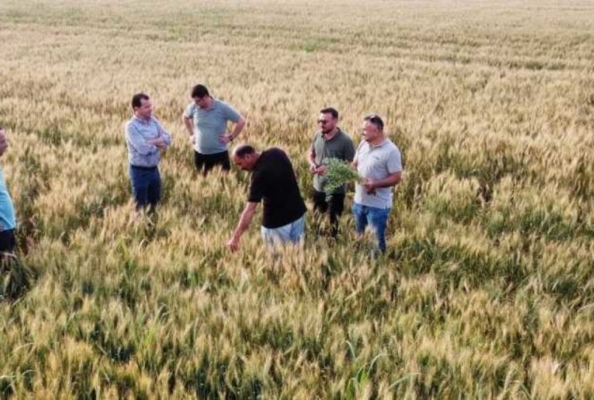 Damla Sulamayla Buğday Üretimi,  Kuru Tarıma Oranla 3 Kat Verim Artışı Sağlıyor!