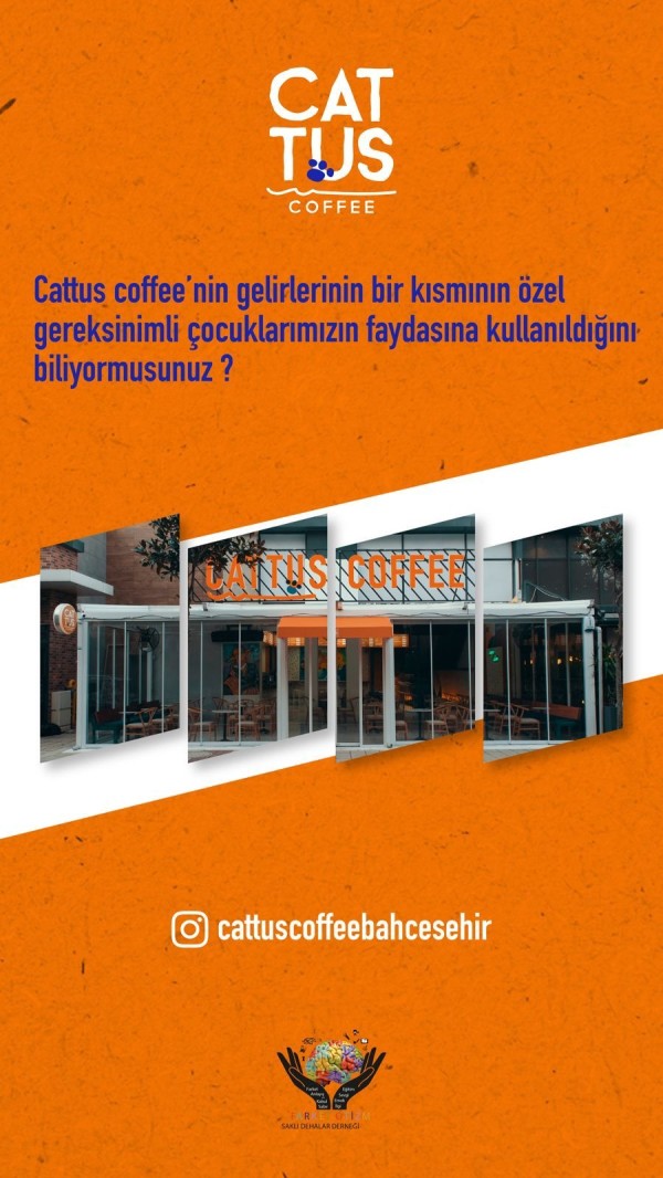 Cattus Coffee - Özel