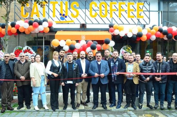 Sosyal Proje Kafesi Cattus!