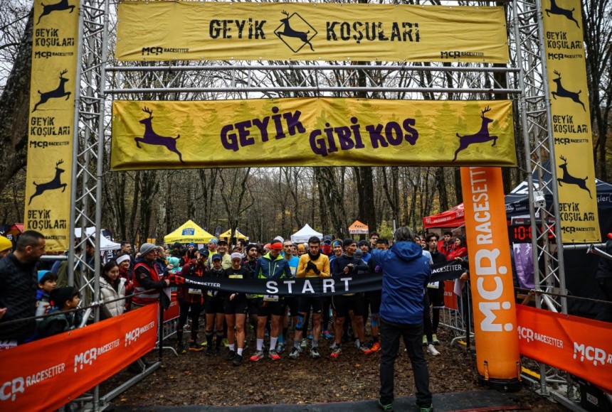 Belgrad Ormanını Geyikler Bastı!