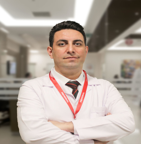 Prof. Dr. Mehmet Gem,  