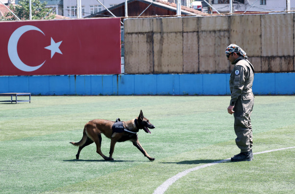 Şilan
