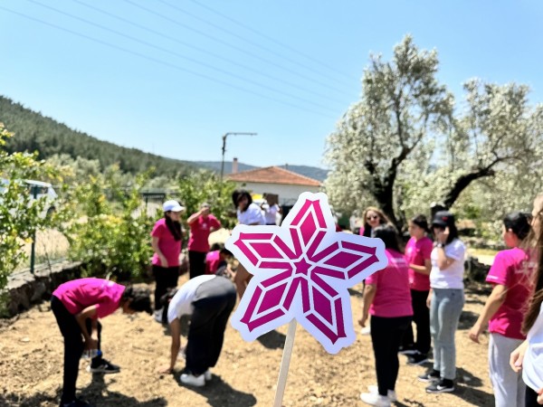 Yanmar Turkey Desteğiyle Geleceğin Yetenekleri; Kara, Deniz ve Şehir Alanlarındaki Uygulamalı Eğitimlerle Çiçek Açıyor!
