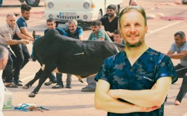 Uzmanı uyardı: Acemi kasaplar dikkat, bayramınız kanlı bayrama dönüşmesin!